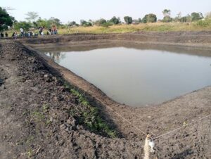 Fish Census 