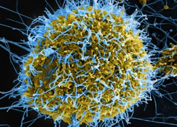 Ebola