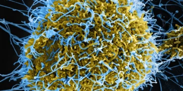 Ebola